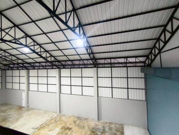 �ç�ҹ������ �ҧ�˭蹹�����