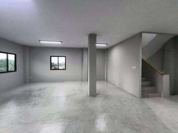 �ç�ҹ������ �ҧ�˭蹹�����