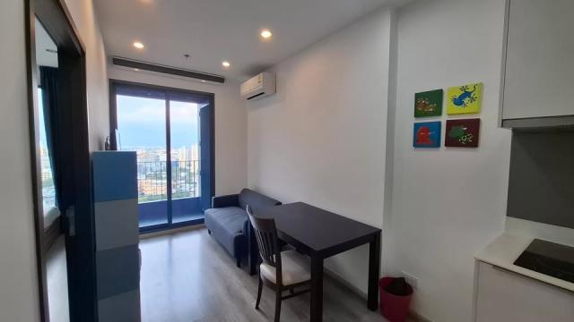 �͹������� �ҧ��