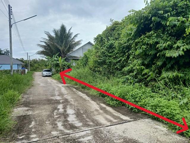 ที่ดิน ที่ดิน