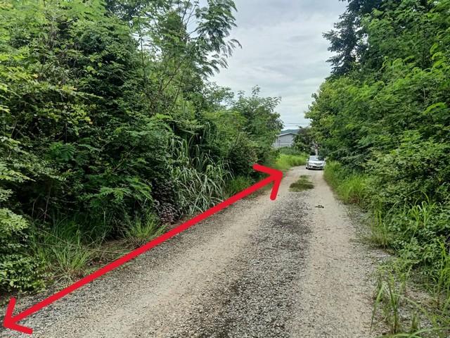 ที่ดิน ที่ดิน