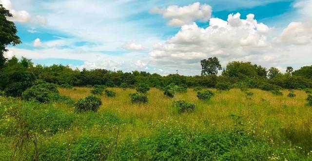 ที่ดิน ที่ดิน