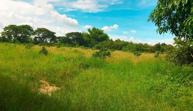 ��·��Թ ���ͧ�Ӿٹ�Ӿٹ