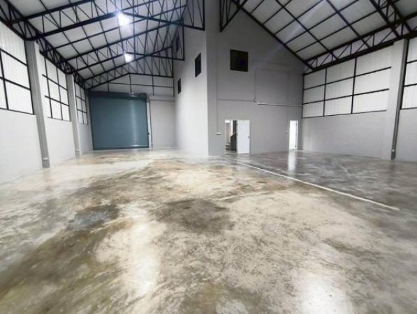 �ç�ҹ������ �ҧ�˭蹹�����