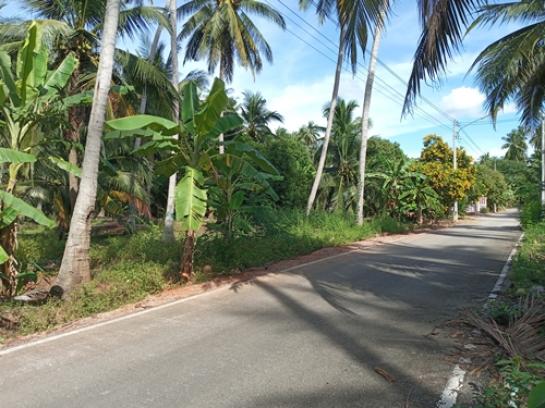 ที่ดิน ที่ดิน