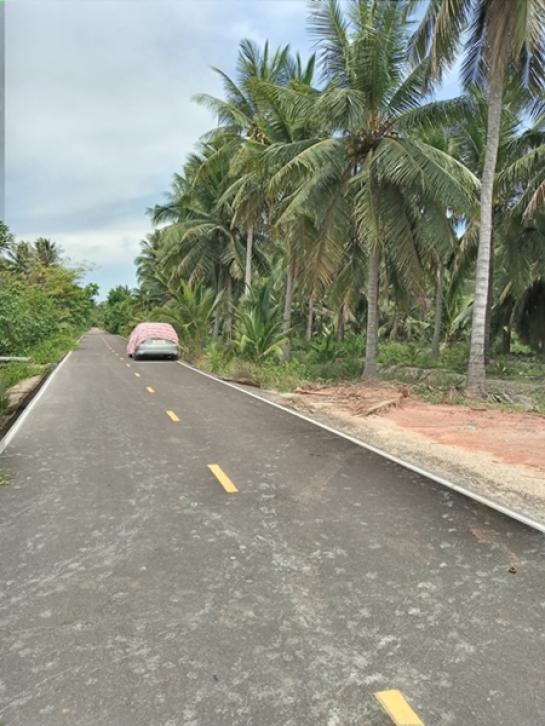 ที่ดิน ที่ดิน