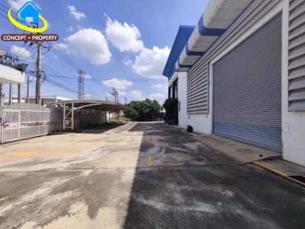 ����ç�ҹ �ҧ��Ƿͧ�������