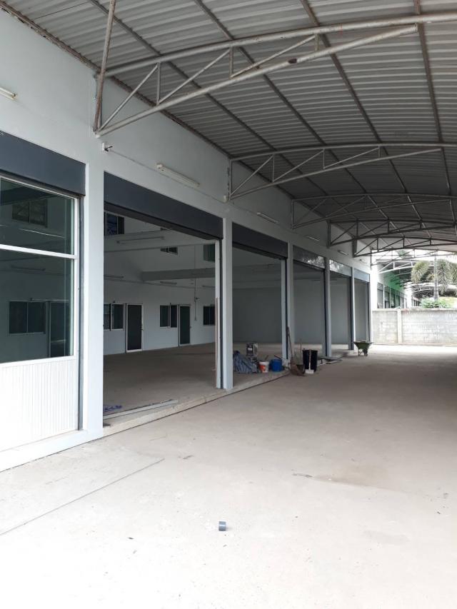 ⡴ѧãËéàªèÒ â¡´Ñ§ãËéàªèÒ