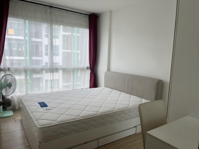 �͹� �Ե��