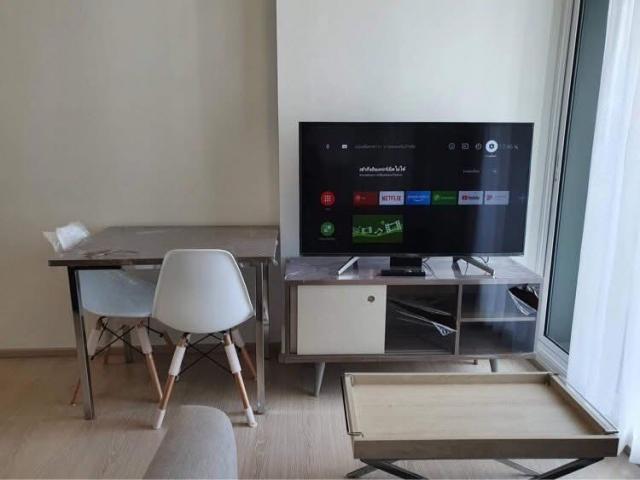 �͹� �Ե��