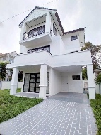 ��ҹ��¹������