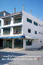 �Ҥ�þҳԪ���¶١