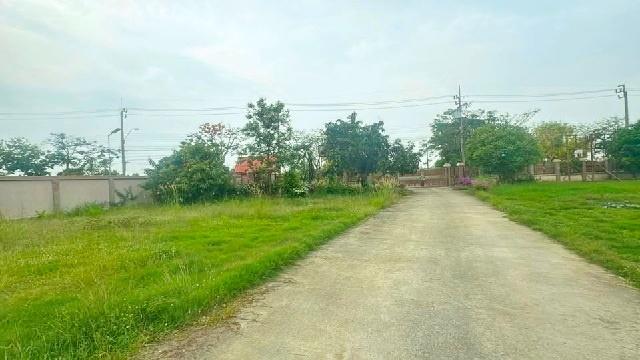 �ç�ҹ������ ˹ͧ�͡��ا෾