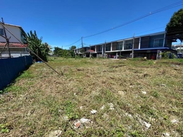 ���Թ �Ԥ�