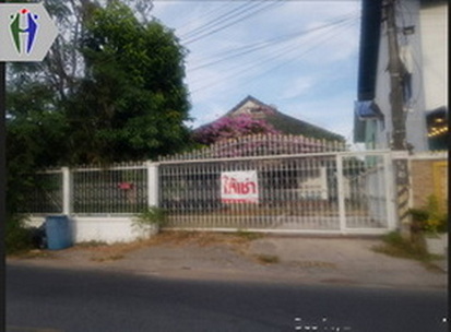 �͹������� �ҧ���ا�ź���