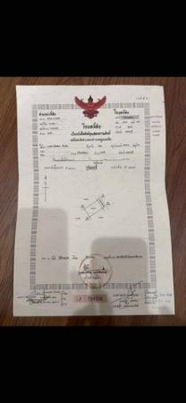 ที่ดิน รถไฟฟ้า ที่ดิน รถไฟฟ้า