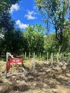 ���Թ��������