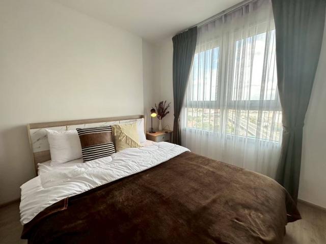 �͹������� ���ͧ������չ������