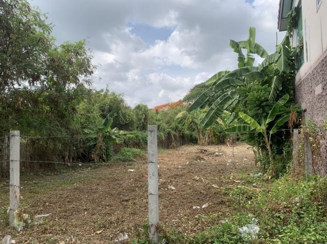 ที่ดินถูกขาย ที่ดินถูกขาย