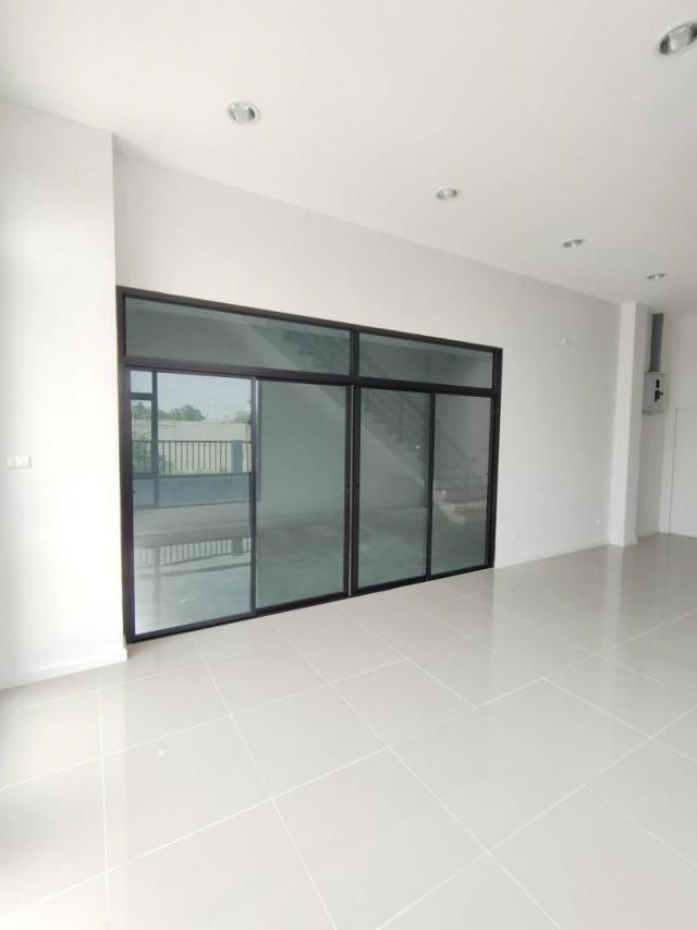 ⡴ѧ������ �ҧ�˭蹹�����