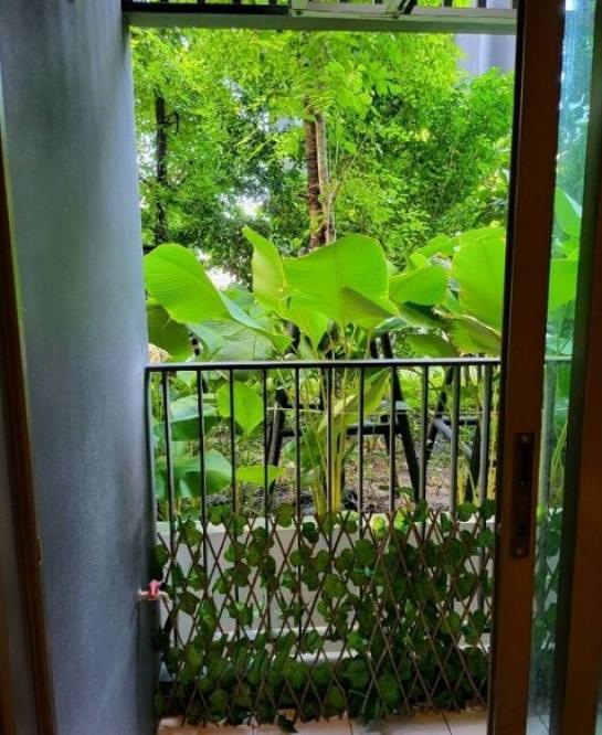 �͹������� �Ҫ���