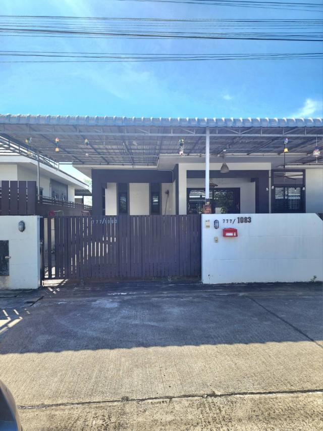 ��ҹ ���������