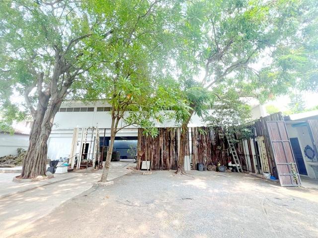 ��ҹ ����Built Jacuzzi/8/4/3/9/5/6