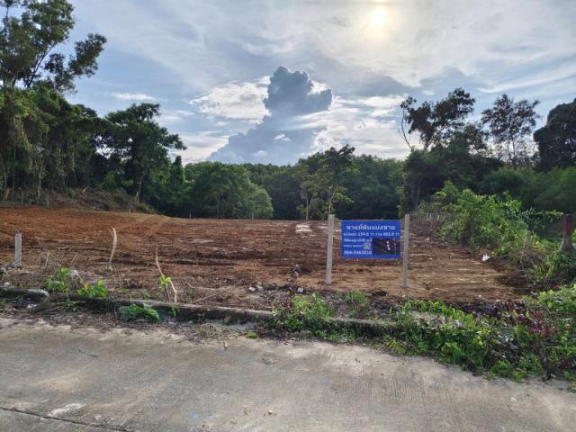 ที่ดิน แบ่งขาย ที่ดิน แบ่งขาย