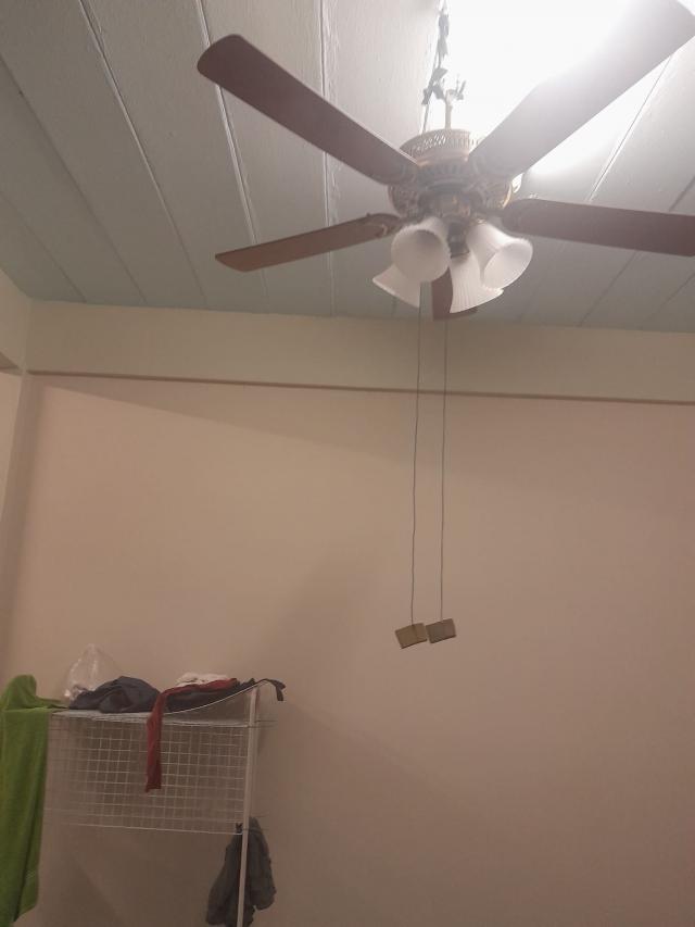 ��ҹ������ ������