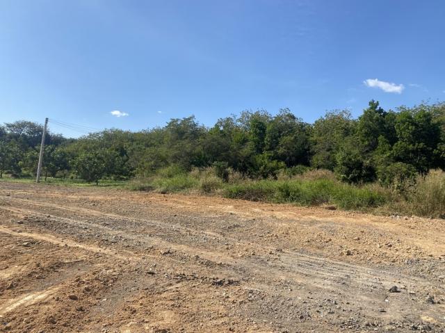 ���Թ������ ��ǡᴧ���ͧ