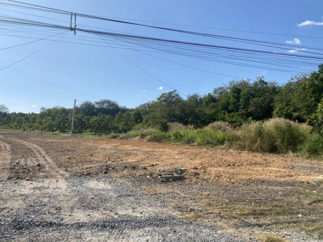 ���Թ������ ��ǡᴧ���ͧ