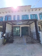 ��ǹ����������