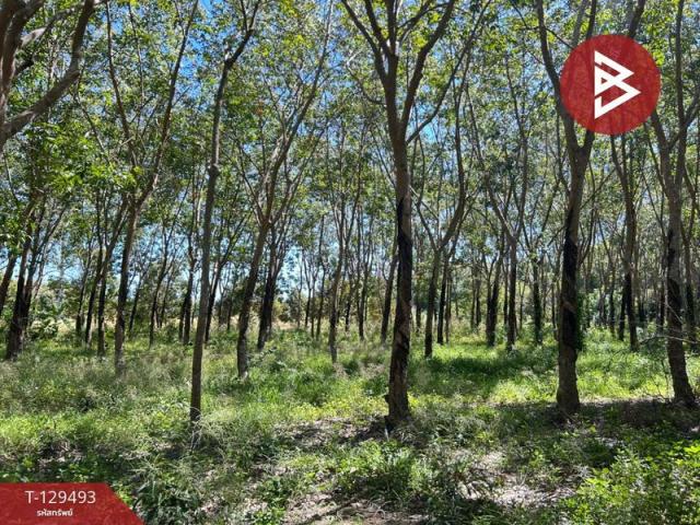 ��·��Թ ���ͧ���ͧ���ͧ