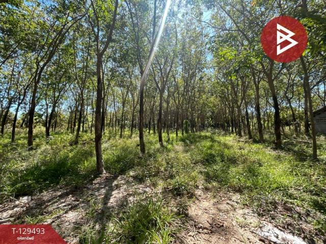 ��·��Թ ���ͧ���ͧ���ͧ