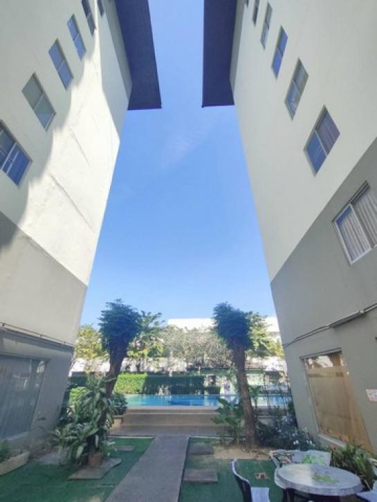 ��¤͹� �ҧ�л�