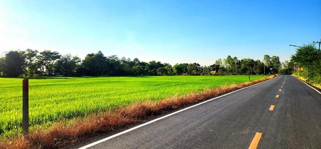 ที่ดิน รังสิต ที่ดิน รังสิต