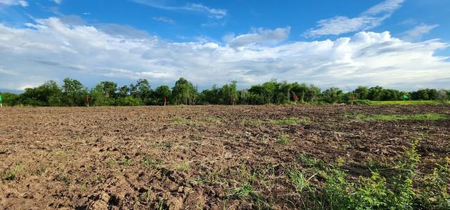 ��·��Թ ˹ͧ���ͻ����ҹ�