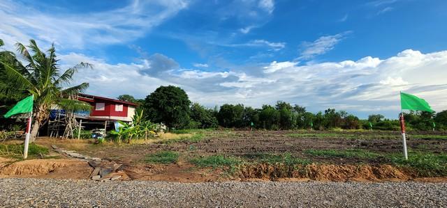 ��·��Թ ˹ͧ���ͻ����ҹ�