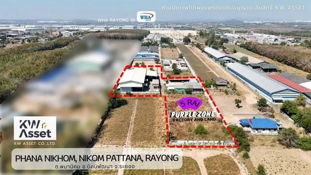 ����ç�ҹ �Ԥ��Ѳ�����ͧ