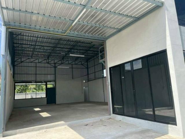 ⡴ѧ������ �ҧ��Ƿͧ�������