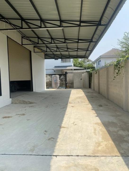 ⡴ѧ������ �ҧ���¹������