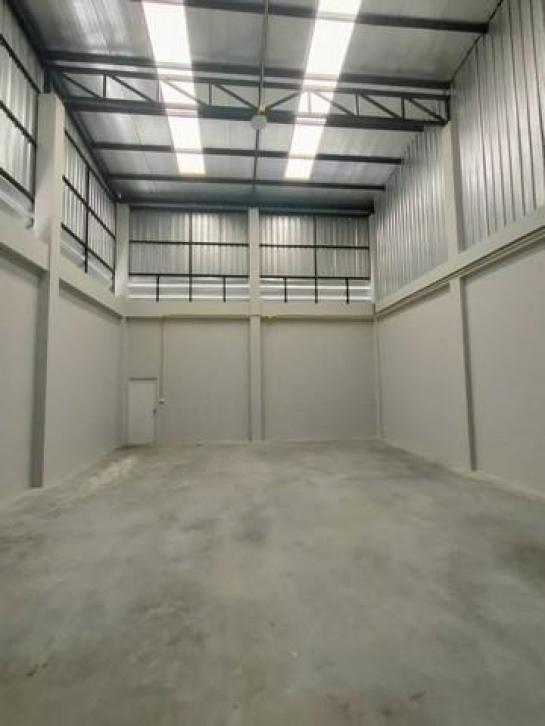 ⡴ѧ������ �ҧ�˭蹹�����