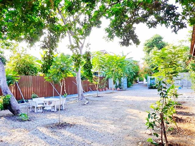 ��ҹ������ ������ԭ��ا෾