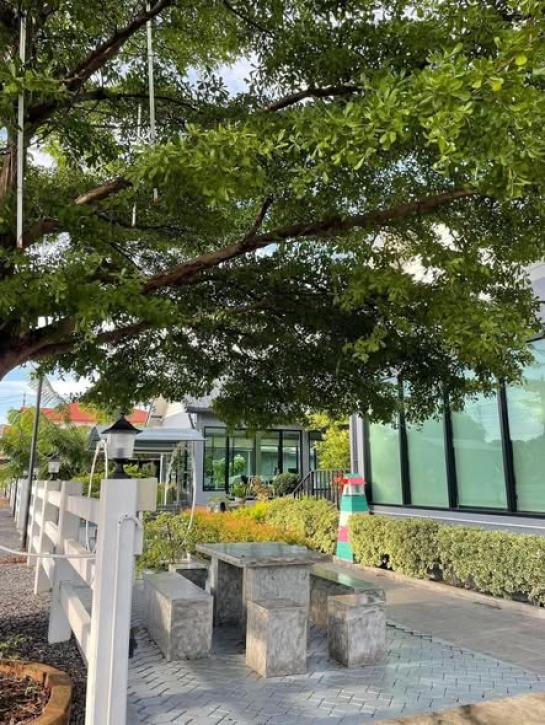 ��áԨ ��ҹ�����