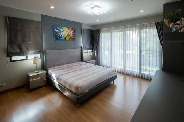 ��ҹ����§�ѵ������� �ҧ���