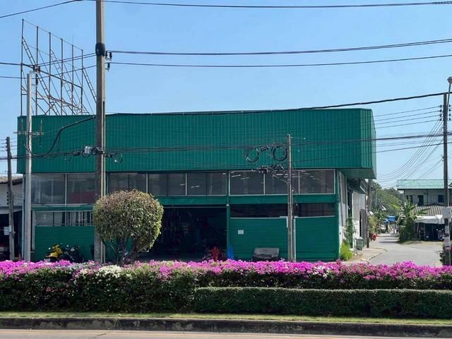 ⡴ѧ������ �ѹ����ǡ�ا෾