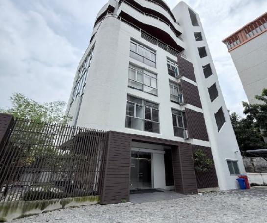 สำนักงาน สำนักงาน