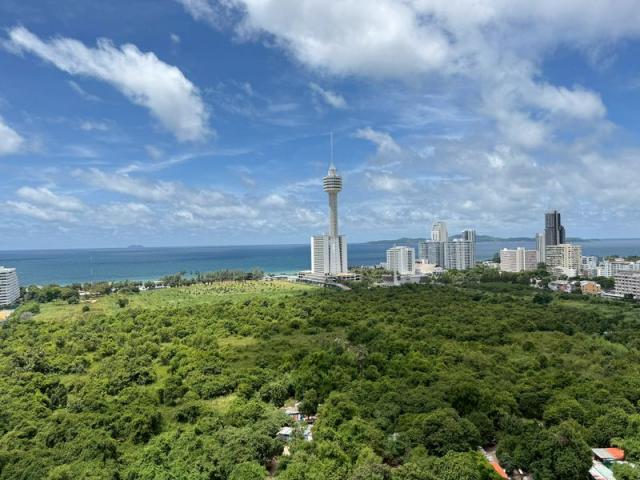 ��¤͹� �ҧ���ا �ź���