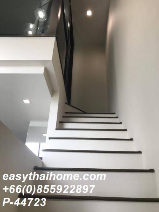 �͹������� �ҧ�ҡ�ا෾