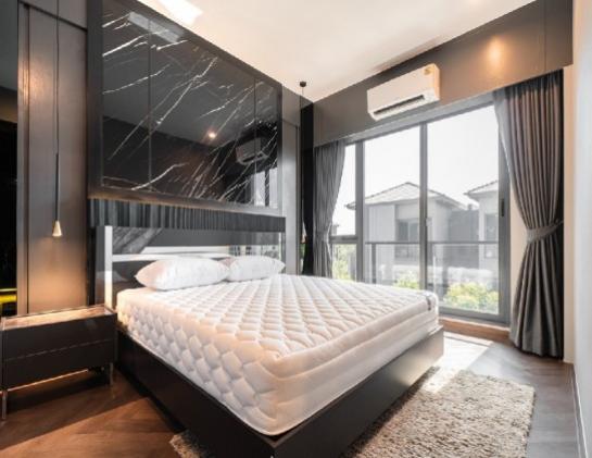 ��ҹ������ ������